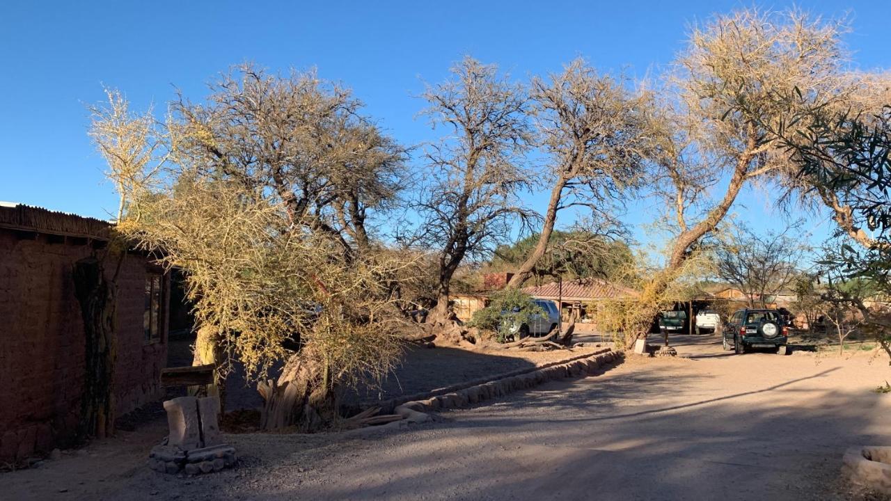 Casa Adobe - Tranquilidad En El Desierto De Atacama Villa San Pedro de Atacama Eksteriør billede